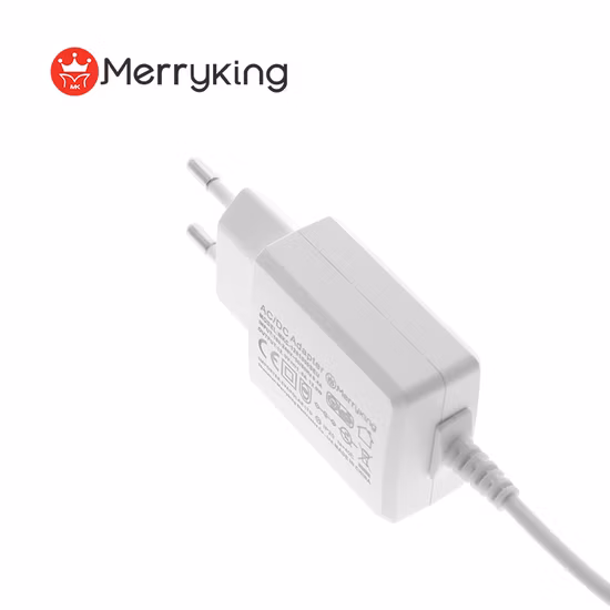 Caricatore da viaggio da parete AC DC 12V 1A CCTV LCD LED medico Alimentatore per telefono 5V 6V 8V 9V 10V 14V 15V 18V 20V 24V 36V 0.5A 1.5A 2A 2.5A 3A 4A Adattatore di alimentazione a commutazione